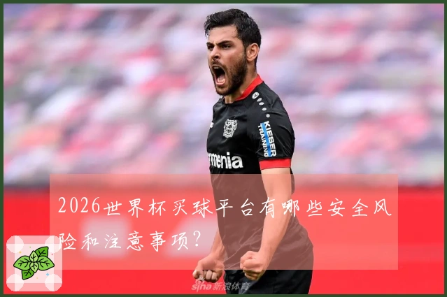 2026世界杯买球平台有哪些安全风险和注意事项？
