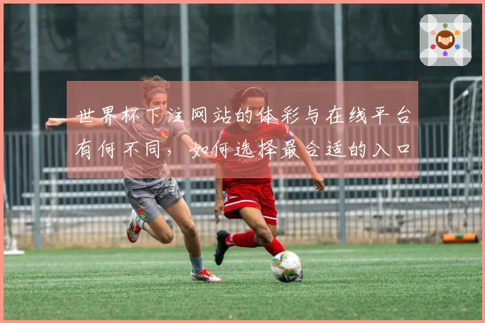 世界杯下注网站的体彩与在线平台有何不同，如何选择最合适的入口？