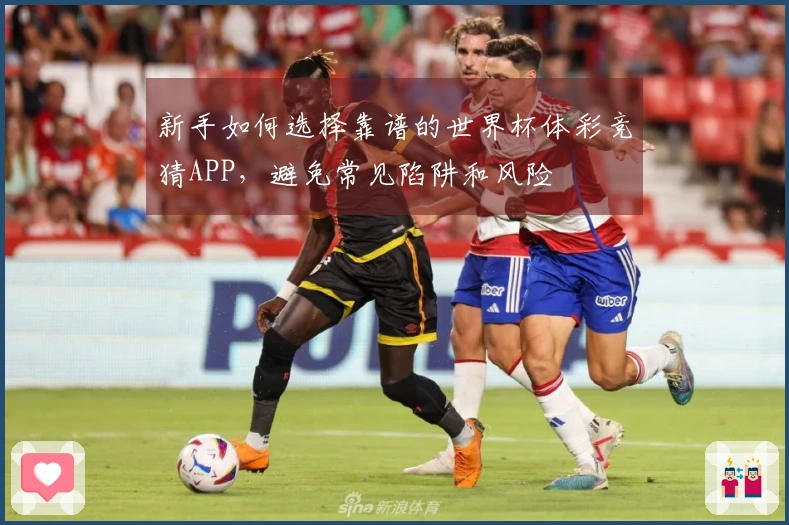 新手如何选择靠谱的世界杯体彩竞猜APP,避免常见陷阱和风险