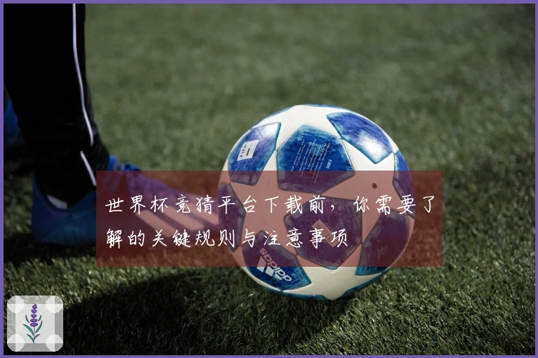 世界杯竞猜平台下载前，你需要了解的关键规则与注意事项