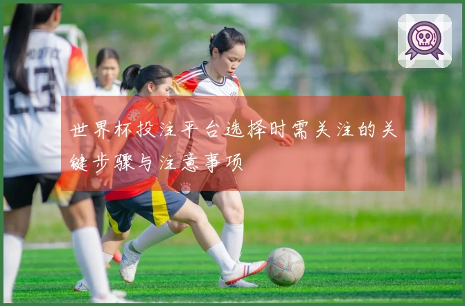 世界杯投注平台选择时需关注的关键步骤与注意事项
