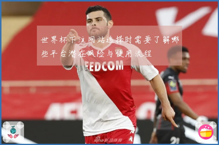 世界杯下注网站选择时需要了解哪些平台潜在风险与使用流程