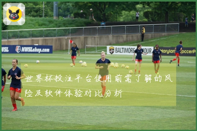 世界杯投注平台使用前需了解的风险及软件体验对比分析
