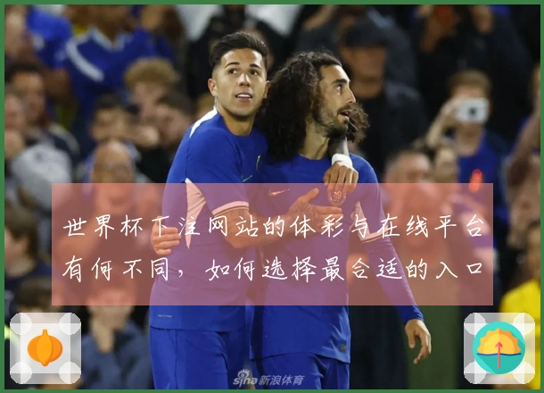世界杯下注网站的体彩与在线平台有何不同，如何选择最合适的入口？
