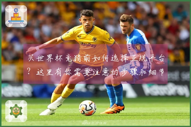 买世界杯竞猜前如何选择正规平台？这里有你需要注意的步骤和细节
