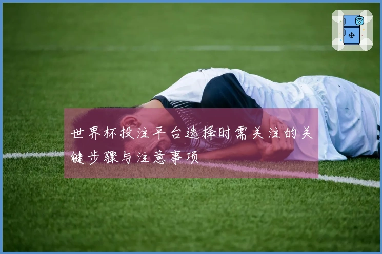 世界杯投注平台选择时需关注的关键步骤与注意事项
